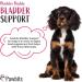 Pawbits 120 Bladder Buddy Support Tablets for Dogs - UTI Treatment with Cranberry & D-Mannose for Kidney & Urinary Health - Buy Online on GoSupps.com
