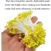 HAHIYO 700Pcs 3mm Yellow Gold Pearl Double Head Flower Stamen Pistil - Hand-Made Artificial Floral Pollen Stamen for Flower Making and Scrapbook Decoration - Buy Online on GoSupps.com