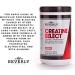 Beverly International Creatine Select - 40 Servings | Premium Creatine Monohydrate for Muscle Growth Endurance & Recovery | Tasty Tang Flavor | Buy Internationally - Buy Online on GoSupps.com