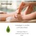 Wormwood Essential Oil 100% Pure - Undiluted for Aromatherapy Foot Bath & Moxibustion - 15ml (0.49oz) - Premium Quality International Shipping - Buy Online on GoSupps.com