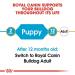 Royal Canin Bulldog Junior 3.0 kg - Buy Online on GoSupps.com