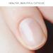Lemon Cuticle Remover - Vegan Formula for Healthy Nails | [Brand Name] - Buy Online on GoSupps.com
