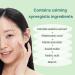 punbaki Aquaporin Soothing Skin Booster Toner Serum 100ml / 3.38 fl. oz. Soothing Hydrating Booster Essence Boosting serum SkinToner Refreshing for face Boosting Essence Korean Skincare - Buy Online on GoSupps.com