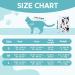 Avont Katzenbody: Post-Op Recovery Suit for Cats - Leakage Protection for Abdominal Wounds & Skin Diseases | International Shipping Available - Buy Online on GoSupps.com