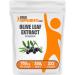 BulkSupplements.com Olive Leaf Extract Powder - Herbal Supplement Antioxidant Source Olive Leaf Powder - Gluten Free 750mg per Serving 250g (8.8 oz) (Pack of 1) 8.82 Ounce (Pack of 1)
