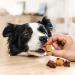 8in1 Flavours Skewer Bites - High-Protein Dog Treats with Chicken Duck & Liver | 100g Bag - International Shipping Available - Buy Online on GoSupps.com