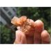 Natural Rare Aragonite Quartz Crystal Cluster Shape Rough Stone Nepheline Home Decor Gifts Beautiful Natural Luster (Size : 10pcs) - Buy Online on GoSupps.com