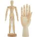 Wooden Hand Model & Posable Mannequin Set for Drawing | Adjustable Art Supplies (2-Piece) - Buy Online on GoSupps.com