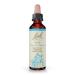 Bach Original Flower Remedies, Vine for Motivation, Natural Homeopathic Flower Essence, Holistic Wellness and Stress Relief, Vegan, 20mL Dropper