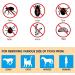 Menmamenma 3Pcs Tick Remover Tools for Dogs - Plastic Tick Hooks for Pets - Pet Care Cleaning Tools (Blue) - Buy Online on GoSupps.com