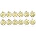 VILLCASE 200 Pcs Charms Lotus Flower Crafts Making Hat Base for Making Hats Flower Charms Lotus Charm Side Release Buckle Buddha Charms for Lotus Bracelet Charms Yoga Charms Pendant Jewelry