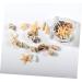 LALAFINA 1 Box Nail Ornament Nail Art Manicure Decoration Conch 3d Nail Stickers - Buy Online on GoSupps.com