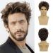 Brown Wig for Men Short Wavy Wig Synthetic Halloween Costume Curly Wigs with Wig Cap Y9042-Brown