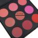 Vodisa 9 Color Natural Blusher Palette - Professional Mineral Makeup Blush Kit - Buy Online on GoSupps.com
