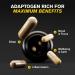 Organic Ashwagandha Capsules - Mood & Stress Relief Supplement with Valerian Root & Artichoke Leaf - KSM 66 Ashwagandha - Buy Online on GoSupps.com
