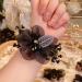 Crystal Flower Leaf Hair Ties - 4 Pcs Ponytail Holders with Rhinestone Scrunchies for Women and Girls - Buy Online on GoSupps.com