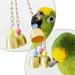 MANSHANGKJ Budgie Toy Interesting Bird Toy Interactive Bells Toy for Small Parrot Macaws Parakeets Love Birds (Random Color) - Buy Online on GoSupps.com