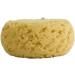 Evriholder Foam Body Sponge Exfoliating Scrubber for Shower or Bath - Pack of 2 - Buy Online on GoSupps.com