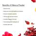 SVATV Hibiscus Powder | Natural Sabdariffa & Rosa Sinensis for Hair & Skin | 227g (8oz) | Controls Hair Problems for Men & Women - Buy Online on GoSupps.com