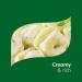 Knorr Creamy Garlic & Herb Pasta Sauce Mix - 1.6 oz | No Artificial Flavors, No MSG - Buy Online on GoSupps.com