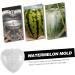 OSALADI Square Tool Strawberry Tool Garden Shaping Molds Fruit Shaping Molds Tool Vegetable Heart-Shaped 17x17cm Transparent - Buy Online on GoSupps.com