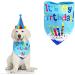 Blue Dog Birthday Bandana & Party Hat Set - Cute Boy Girl Dog Outfit for Cat & Dog Party Supplies - Buy Online on GoSupps.com