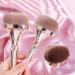 COSHINE Pro Gold Rush 9pcs Oval Makeup Brushes Set for Foundation, Powder, Concealer, Cheek, and Eye Shadows - Buy Online on GoSupps.com