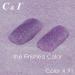 C & I Dip Powder Glitters Color Collection Shining Dipping Powder for Nail Beauty Acrylic Color System (# 91) - Buy Online on GoSupps.com