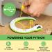 Remote Control Snake Cat Toy - Interactive RC Toy Snake for Active Indoor Cats | Realistic and USB Charged - AmazinglyCat - Buy Online on GoSupps.com