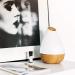 Promed AL-1300 WS Aroma Diffuser 1.3L | Ultrasound Humidifier & Electric Fragrance Lamp with 7 Colors LED Light | Perfect for Aromatherapy & Home Decoration - Buy Online on GoSupps.com