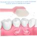 Shop Minkissy 20-Pack Soft Travel Toothbrush Set | Ideal Gift for Adults & Kids - Durable & Portable - Buy Online on GoSupps.com