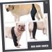 DOITOOL Paw Knee Knee Pads Dog Leg Brace Dog Back Dog Injured Leg Cover Front Legs Rear Bracket Puppy M 1 - Buy Online on GoSupps.com