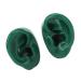 Buy Silicone Ear Model Pair Set - Fake Earmold for Headphones & Acupuncture | Green Ear Display - Buy Online on GoSupps.com