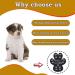 Valfrid Anti-Slip Paw Protection for Dogs - Self-Adhesive Silicone Gel Traction Pads 48 Pieces Multicolor XXXL (7.8*8.6cm) - Ideal for 36kg+ Dogs - Buy Online on GoSupps.com