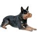 Baskerville Anti-Scavenge Muzzle Size 6 - Breathable & Safe Training Muzzle for Medium Dogs - Buy Online on GoSupps.com