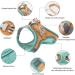 Fueegue Cat Harness with Leash - Escape Proof Adjustable Soft Harness for Cats & Small Dogs - Green S - Buy Online on GoSupps.com