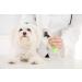 Slicker Dog Brush for Shedding Short & Long Hair - Cat & Dog Grooming Supplies | Deshedding Tool for Single or Double Coated Pets - Undercoat Rake for Small Dogs - Buy Online on GoSupps.com