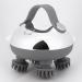 Fiorky Portable Head Massage Device - 8 Silicone Massage Heads Scalp Vibration for Hair Growth & Relaxation - USB Rechargeable (Silver) - Shop Internationally - Buy Online on GoSupps.com