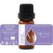 Buy 3 Set Dream Sweet Essential Organic Oils: Lavender Roman Chamomile & Lemon Balm | 100% Natural Undiluted Bio-Certified | Vegan | Top Quality from Family Business - 20ml - Buy Online on GoSupps.com