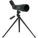Celestron LandScout 60mm Angled Spotting Scope | Fully Coated Optics | 12-36x Zoom Eyepiece | Rubber Armored | Tabletop Tripod - Buy Online on GoSupps.com