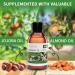 KitaMa Jasmine Massage Oil - Nourishing Aroma Body Oil for Relaxation - 250ml Thai Care Oil - Buy Online on GoSupps.com