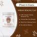 Plant Guru Indian Healing Clay 1 lb. - 100% Natural Bentonite Clay Powder for Deep Pore Cleansing - Facial, Body Mask, Detox for Face, Hair, Acne - Buy Online on GoSupps.com