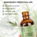 Fengyang Rosemary Oil for Hair Growth | Pure Rosemary Essential Oil for Thicker Hair - Buy Online on GoSupps.com