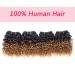 Kinky Curly 8 Inch Human Hair Bundles - 1B/30 Brazilian Virgin Hair - 50g/Bundle - 4 Bundle Pack | Curly Hair Extensions - Buy Online on GoSupps.com