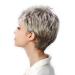 Buy Witness Gray Short Layered Wig for Women | Heat-Resistant Fluffy Realistic Cosplay Full Wig - Buy Online on GoSupps.com