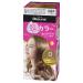 Kao Blaune Bubble Hair Color For Gray Hair - 0 Shiny Brown (Green Tea Set)
