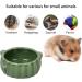 BUCATSTATE Food Bowl for Hamster 2PCS Cactus Drinking Bowl Waterproof Food Dish Ceramic Feeding Bowls for Small Animals Birds Guinea Pig Chipmunk - Buy Online on GoSupps.com