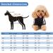 Dog Sweater for Small Dogs | Cute Cotton Hoodie for Puppies & Cats | Warm Pullover XS in Black & Red - International Shipping Available - Buy Online on GoSupps.com
