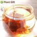 PlantGift Malva Nut 125G/4.4oz Dried Sterculia Lychnophora Dried Pangdahai Chinese Health Tea - Buy Online on GoSupps.com