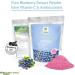 9x Blueberry (Cyanococcus) Standardized Extract Powder - Buy Online on GoSupps.com